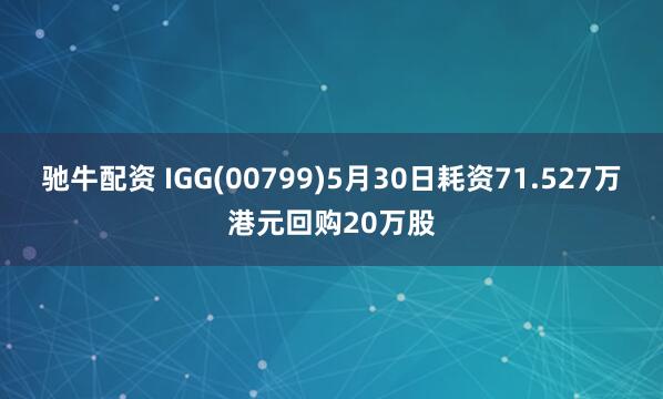 驰牛配资 IGG(00799)5月30日耗资71.527万港元回购20万股