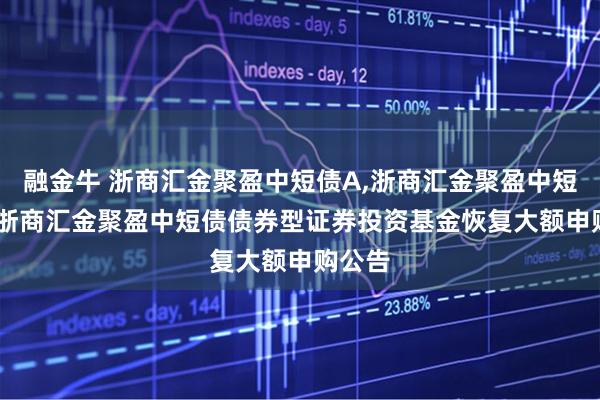 融金牛 浙商汇金聚盈中短债A,浙商汇金聚盈中短债C: 浙商汇金聚盈中短债债券型证券投资基金恢复大额申购公告