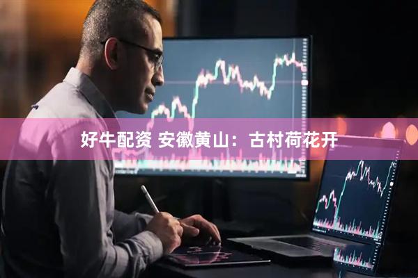 好牛配资 安徽黄山：古村荷花开