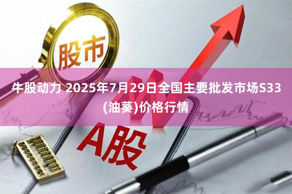 牛股动力 2025年7月29日全国主要批发市场S33(油葵)价格行情
