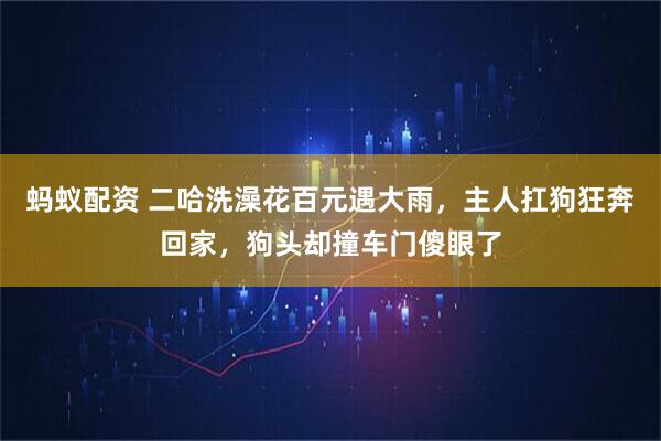 蚂蚁配资 二哈洗澡花百元遇大雨，主人扛狗狂奔回家，狗头却撞车门傻眼了