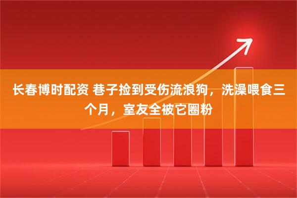 长春博时配资 巷子捡到受伤流浪狗，洗澡喂食三个月，室友全被它圈粉