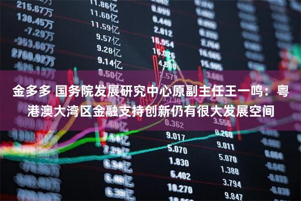 金多多 国务院发展研究中心原副主任王一鸣：粤港澳大湾区金融支持创新仍有很大发展空间